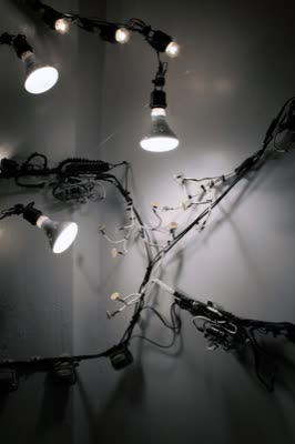 Phillip Stearns, Entity I.