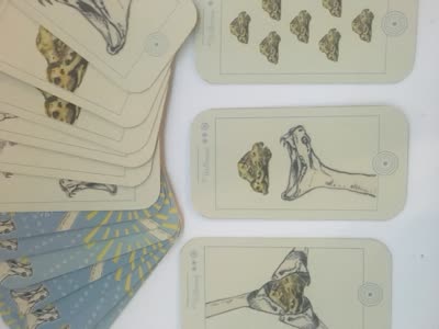 Drawn cards with bones and stones, 20 April 2016.