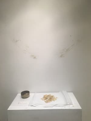 Installation on a plinth and wall, 20 April 2016.
